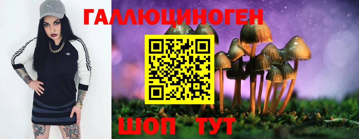 Псилоцибиновые грибы Psilocybine cubensis  Вход с VPN  закладка  Галлюциногенные грибы прущие грибы  Скопин 